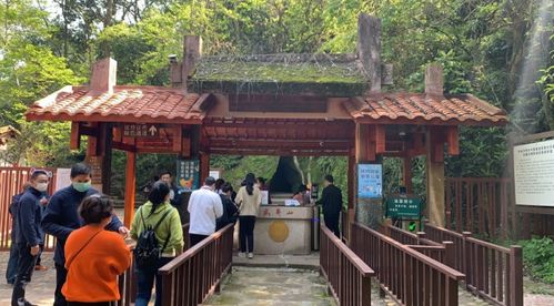 武夷山今天恢復開放 全國醫(yī)護人員免費,還有這些優(yōu)惠政策