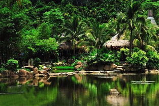 在溫暖保亭遇見那香山，探索大三亞旅游經(jīng)濟(jì)圈的景區(qū)管理之道