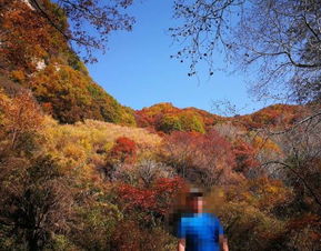 2019平山駝梁風(fēng)景區(qū)游玩全攻略 門(mén)票價(jià)格、游覽路線(xiàn)、地址與服務(wù)詳解